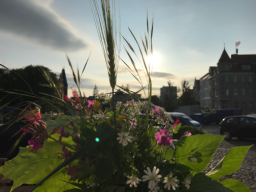 Marktplatz